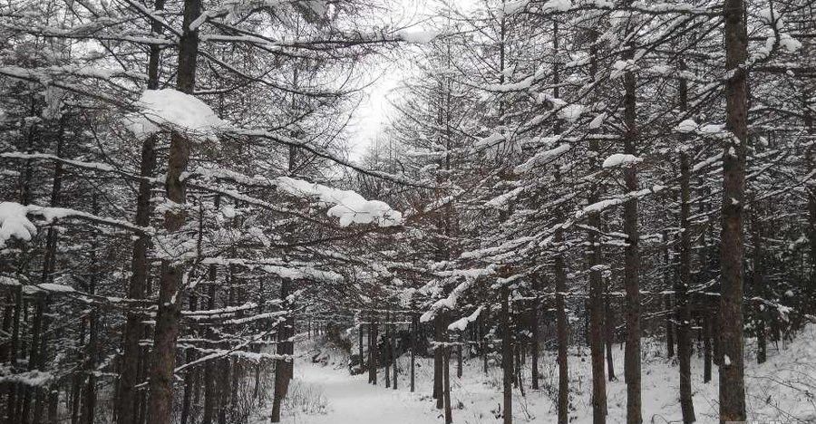 生死之外无大事出自哪,生死之外无大事的感悟