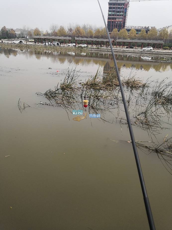 传统钓长竿推荐性价比高的鱼竿,品牌鱼竿传统钓