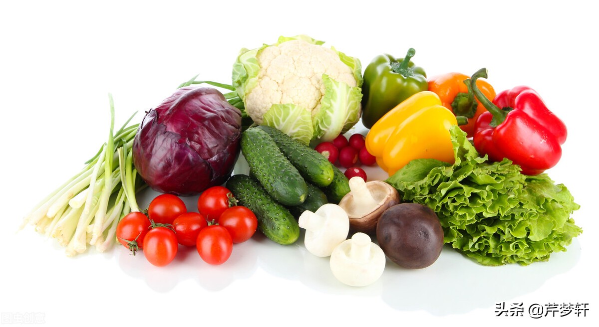 红楼梦诗社完整版,红楼诗社