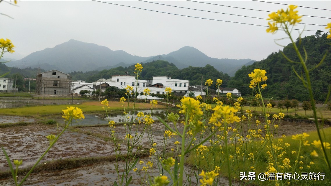 徒步第126天海南环岛行,徒步135天到大悟视频