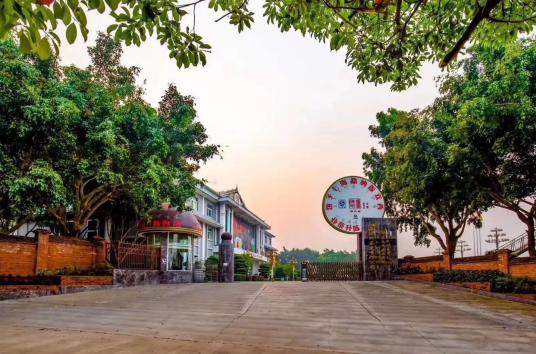 云南勐海普洱茶文化,问茶云南普洱茶