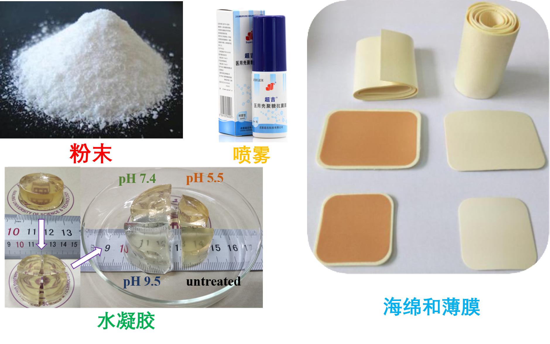 美食→生物材料|小龙虾→伤口敷料