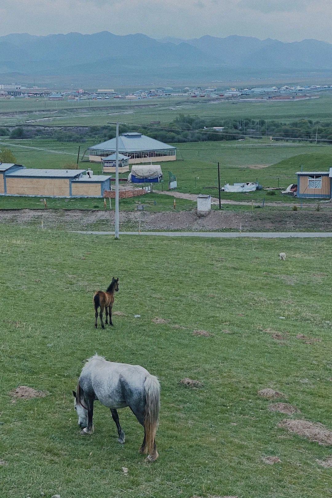 「Norden」草原上的缄默声