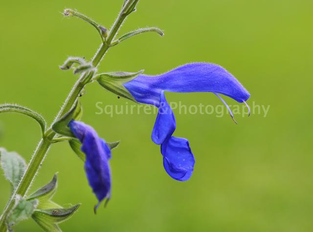 哪个股指期货杠杆最大,哪个券商融资杠杆最高