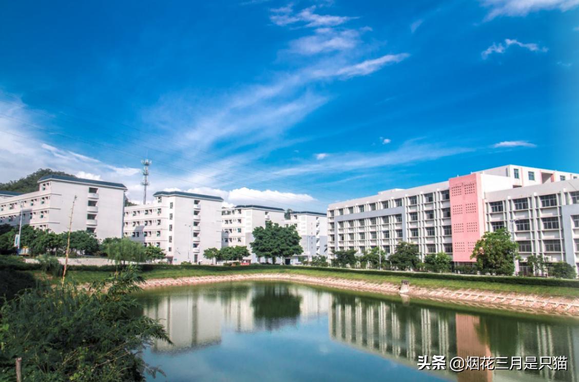 征集志愿广东专科有哪些学校,广东专科征集志愿学校