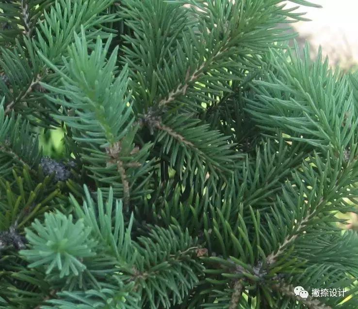 TLYL1·作品印象零壹零