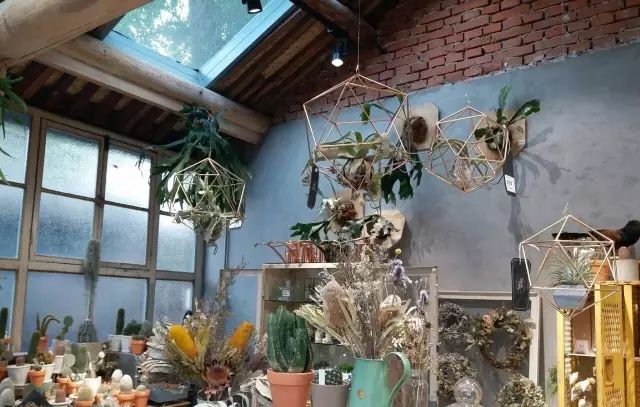 杨澜专访张艾嘉,杨澜采访张艾嘉