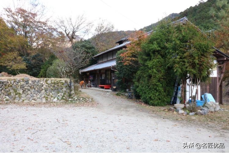 20岁少年建“猫猫寺”，和尚住持全是猫咪，网友：不敢撸不敢吸