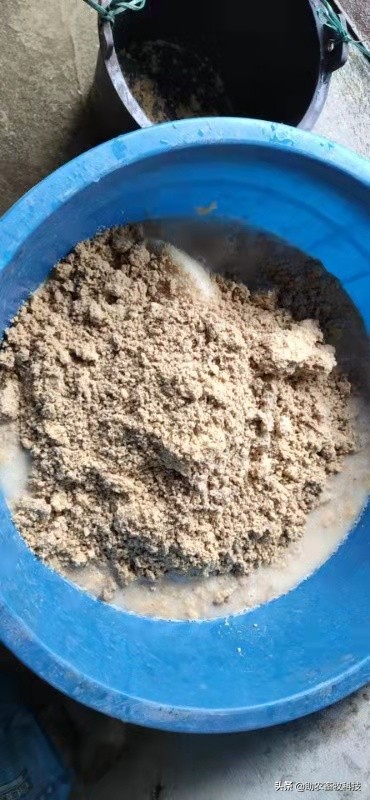 豆腐渣发酵饲养肉狗效果,发酵豆渣喂狗配方