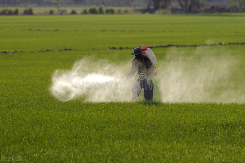 猪肝重金属人吃了多少有问题,吃猪肝对肝有什么危害