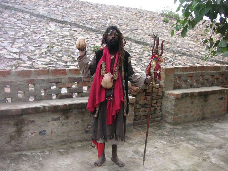 黑人的智商，据说低于世界平均水平？是不是真的？