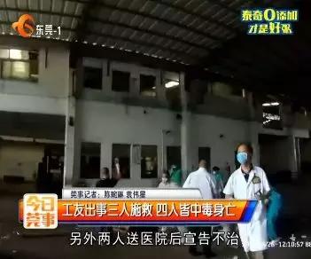 在年岁即将交替的时光里「这一年大岭山都发生了什么大事」