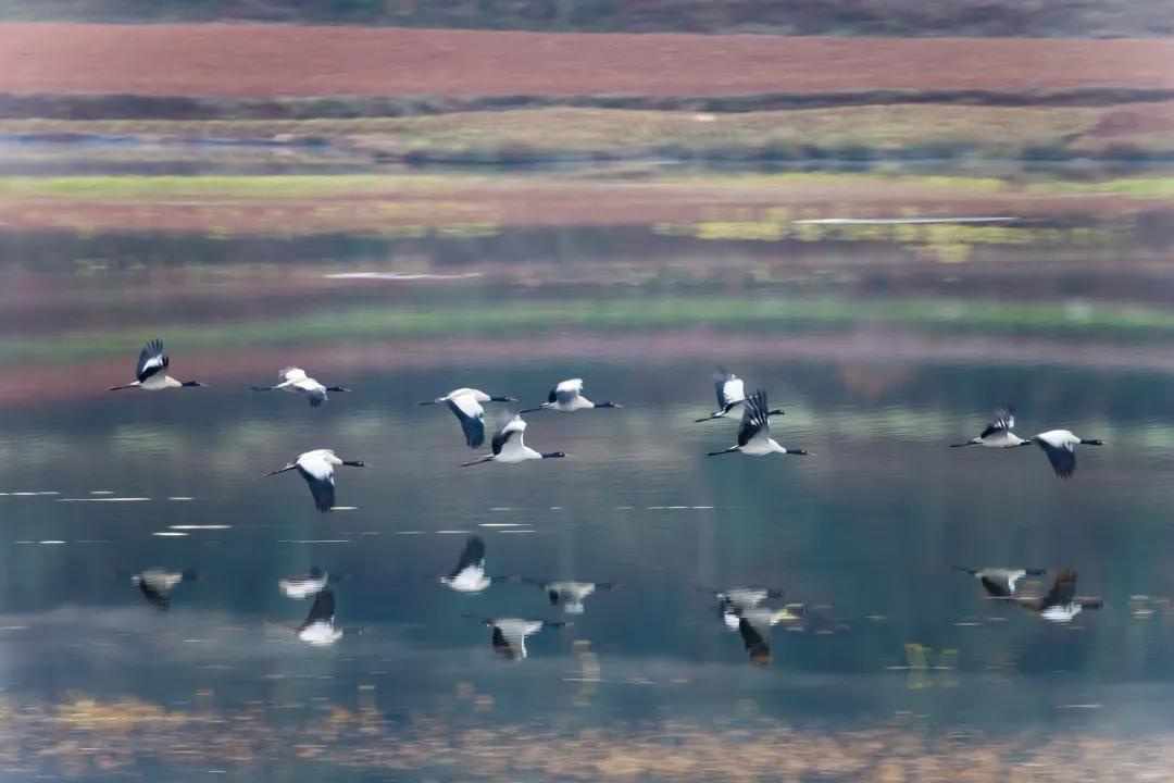 云南淡季旅游线路推荐,云南春季旅行推荐