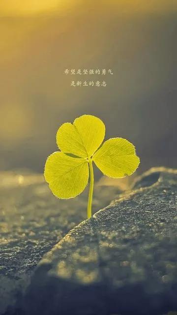 小小尘埃小小确幸是什么意思,一颗尘埃原创作品