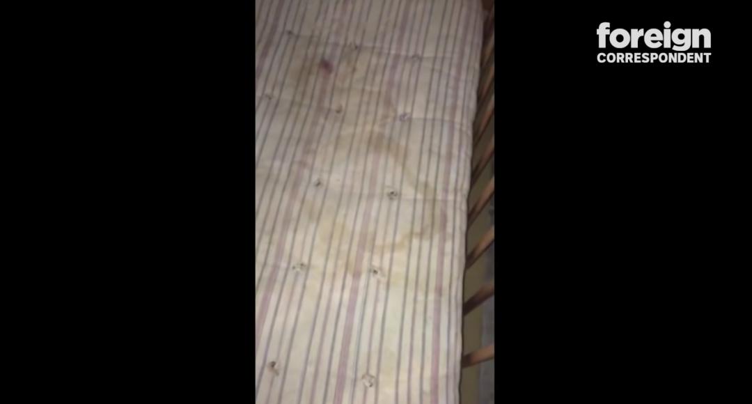 这不是瓜是悲剧，对代孕说NO，别让有价生意摧毁无价生命