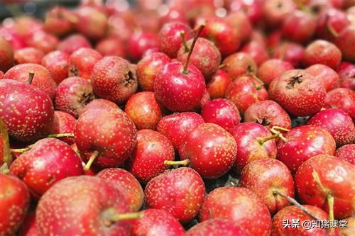 猪食欲不好怎么解决,猪吃饲料消化不好喂什么好