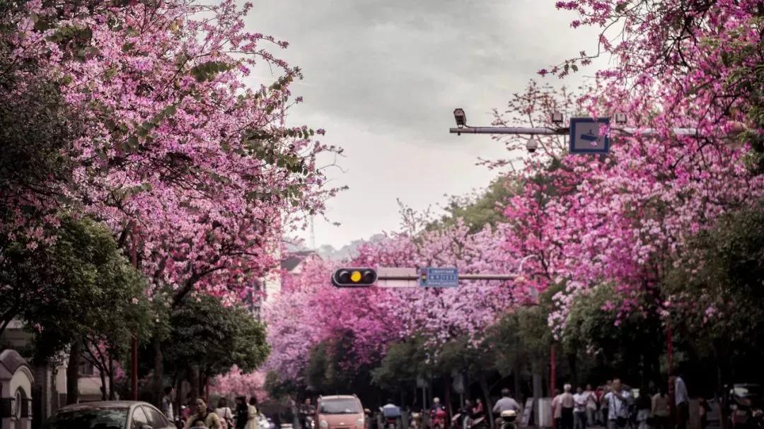 退休后就去国内旅游,退休后必去的100个景点