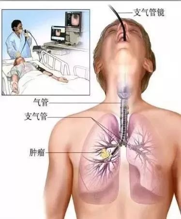 福建中医药大学福建省人民医院,福建中医药大学附属人民医院科室