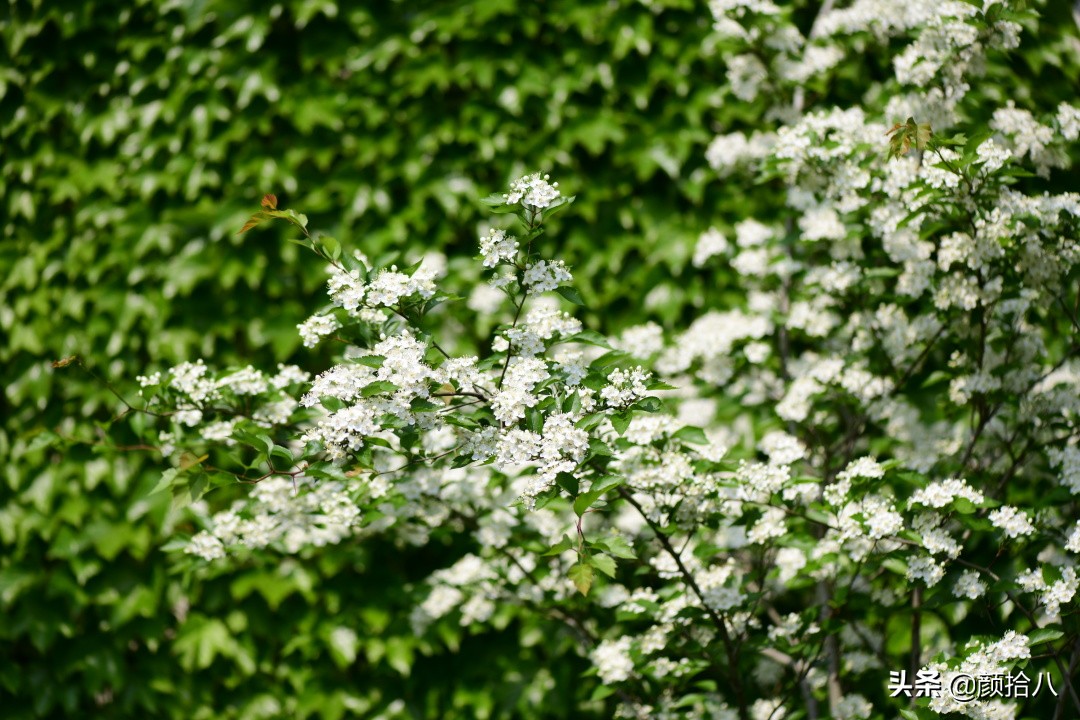 愿时光静止,愿时光静止在这一刻