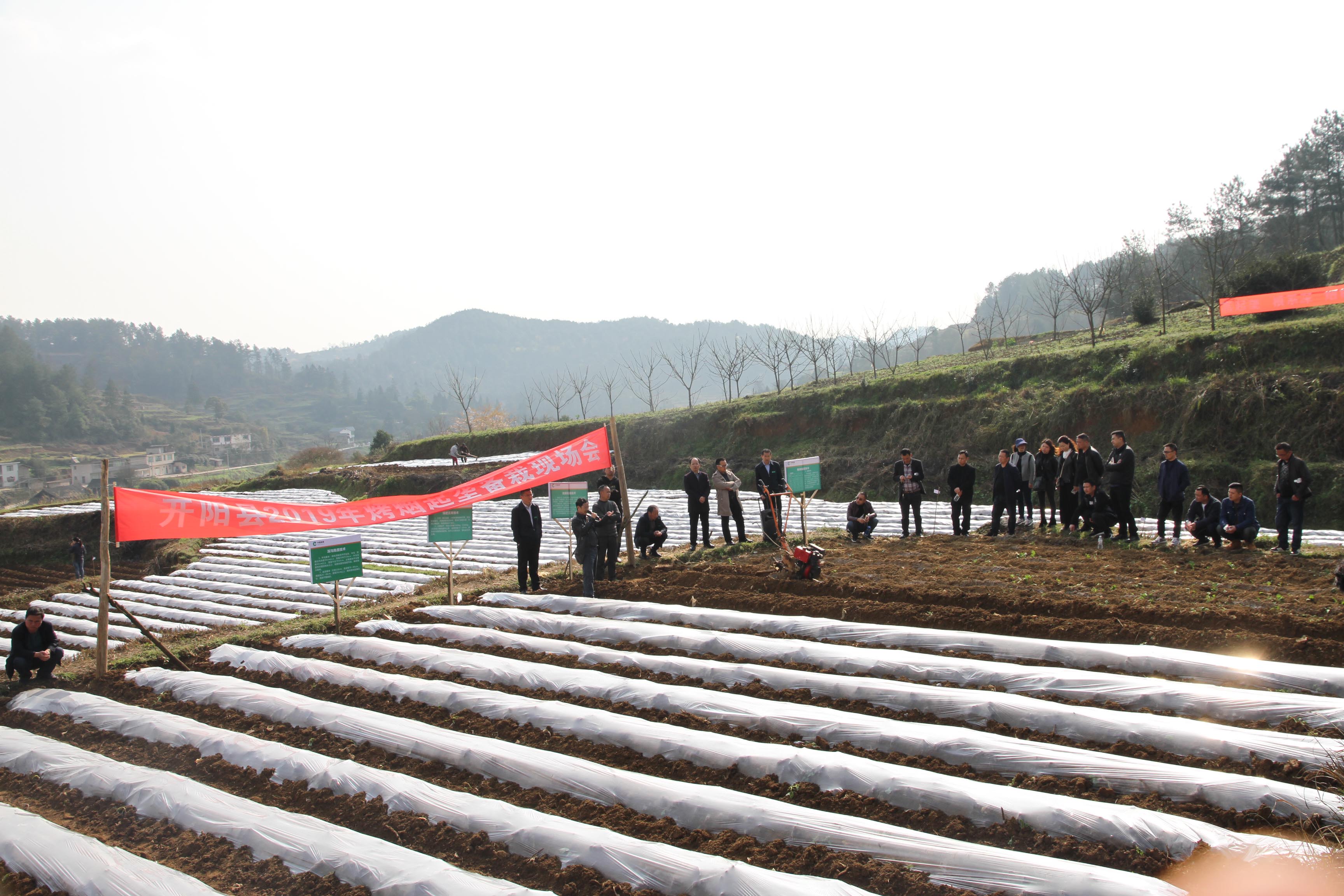 贵阳市开阳县*草烟**专卖局（分公司）奋进在高质量发展的新征程！