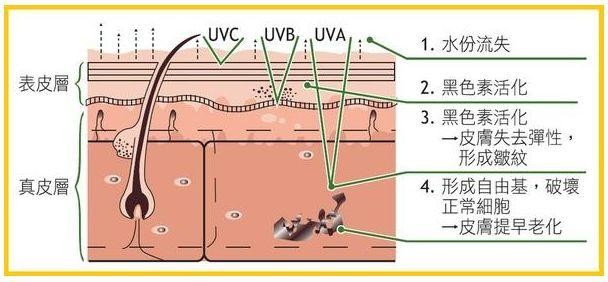容易晒黑的人怎么防止晒黑,为什么有些人喜欢被晒黑