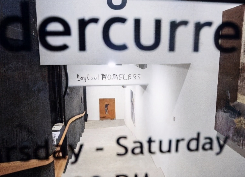 羅一｜纽约，2020，“无家可归”纪