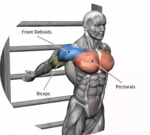 上胸为什么是最难练的原因,上胸怎么都练不大