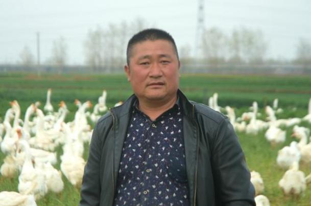 安徽农民以这种方式搞养殖，遭受邻居嘲笑，现在身价达100多万