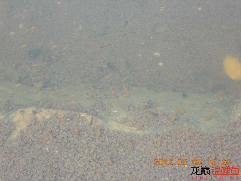 开渔场赚钱吗,开渔场需要多少资金