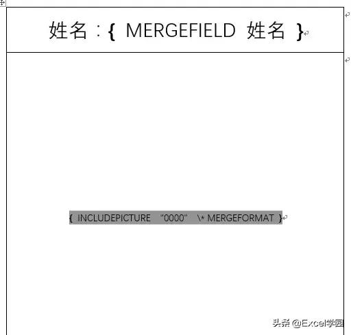 邮件合并excel中照片导入word,邮件合并将图片批量放入word表格