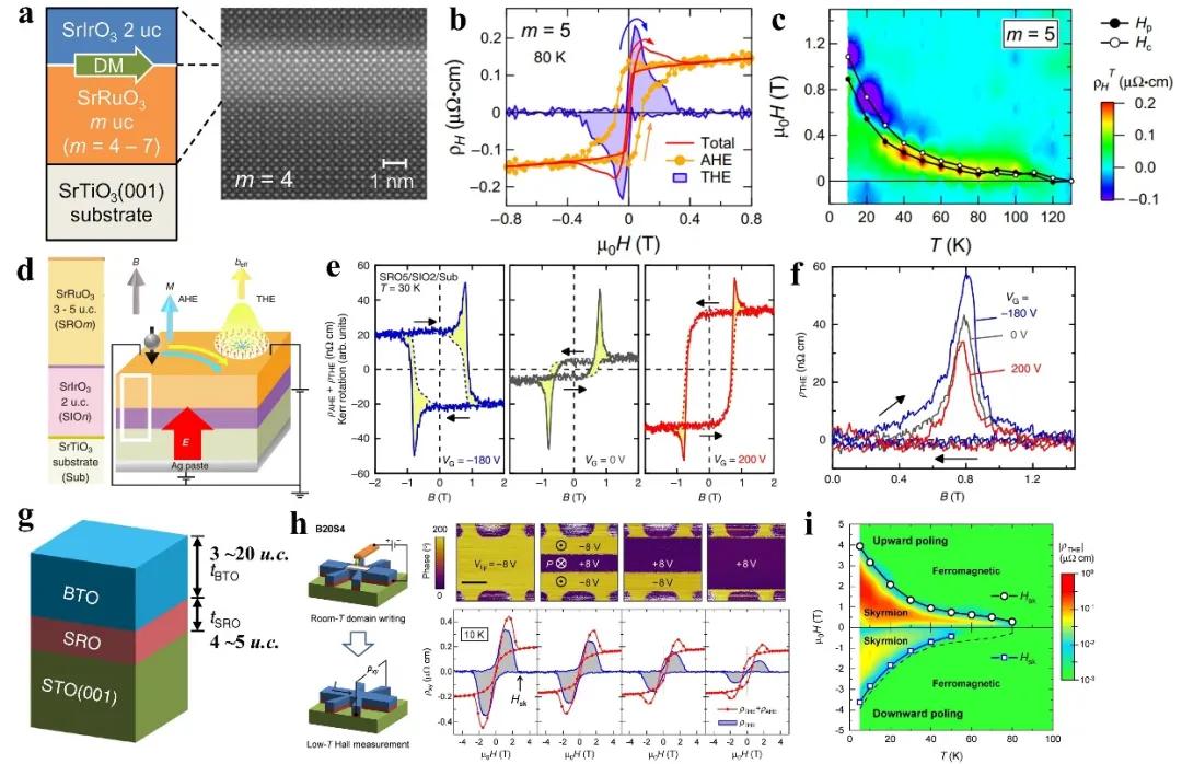 Adv.Mater:铁性薄膜和异质结拓扑结构的研究进展