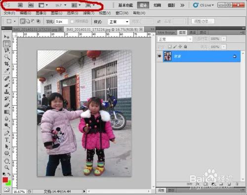 ps工具介绍大全,关于朴树的介绍