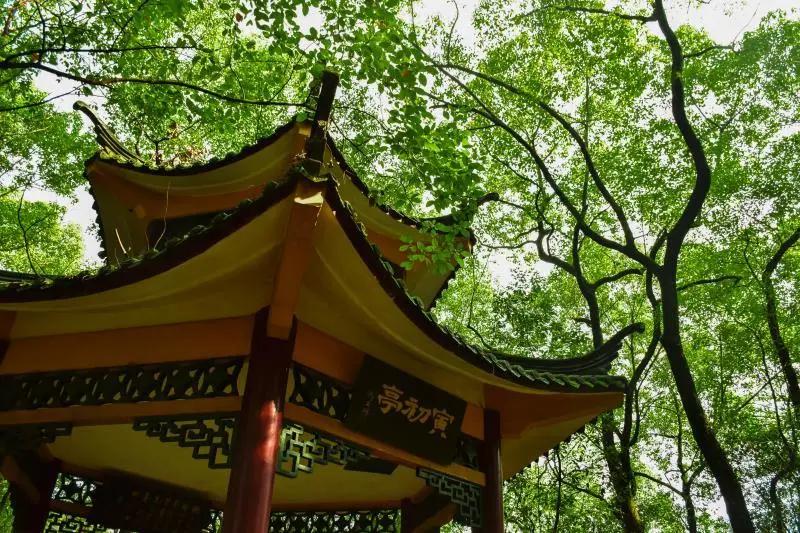 有效提升妇科肿瘤防治水平！重庆大学团队，获中国抗癌协会科技奖二等奖！