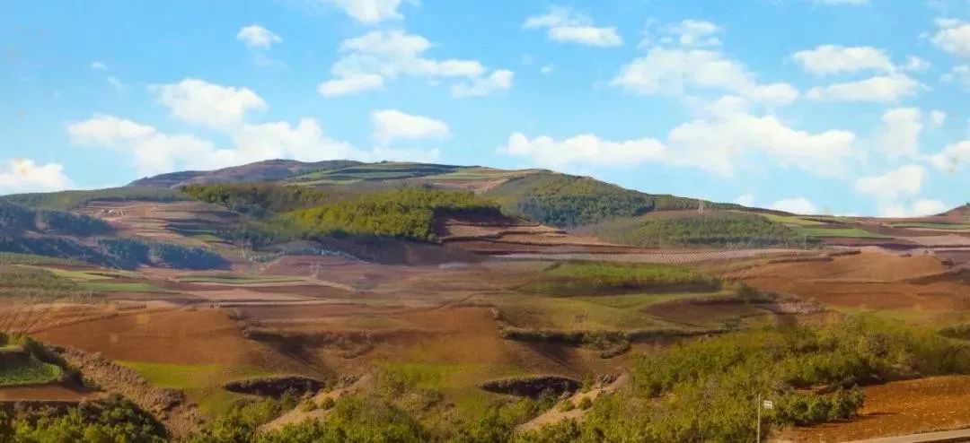 人民大会堂推销土豆，收1500个农民学生，10亿专利无偿送出，64岁的农民院士朱有勇火了！