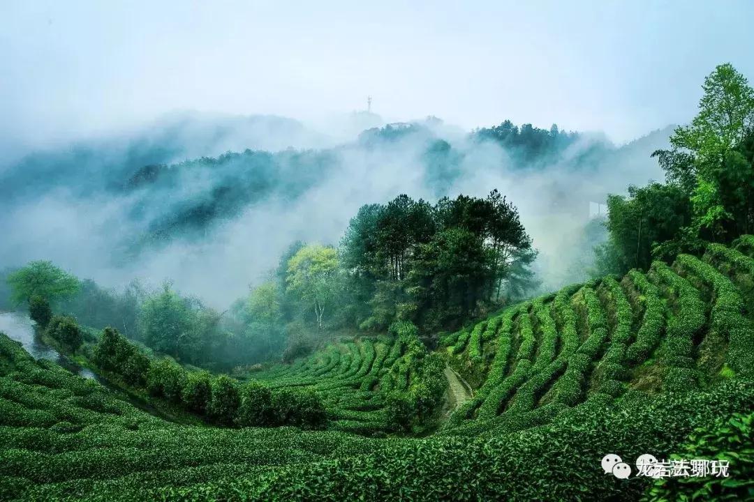 新罗区著名景点有哪些地方,新罗区景点排行榜前十名