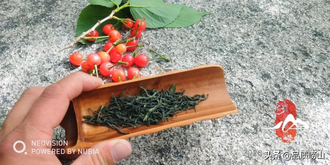崂山茶特色,简单也许是最好的