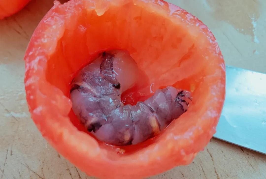 番茄大虾煲的家常做法大全,番茄无敌大虾的食谱