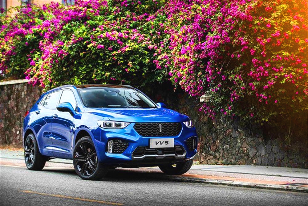 魏派vv6性价比怎么样,魏派新vv6值得购买吗