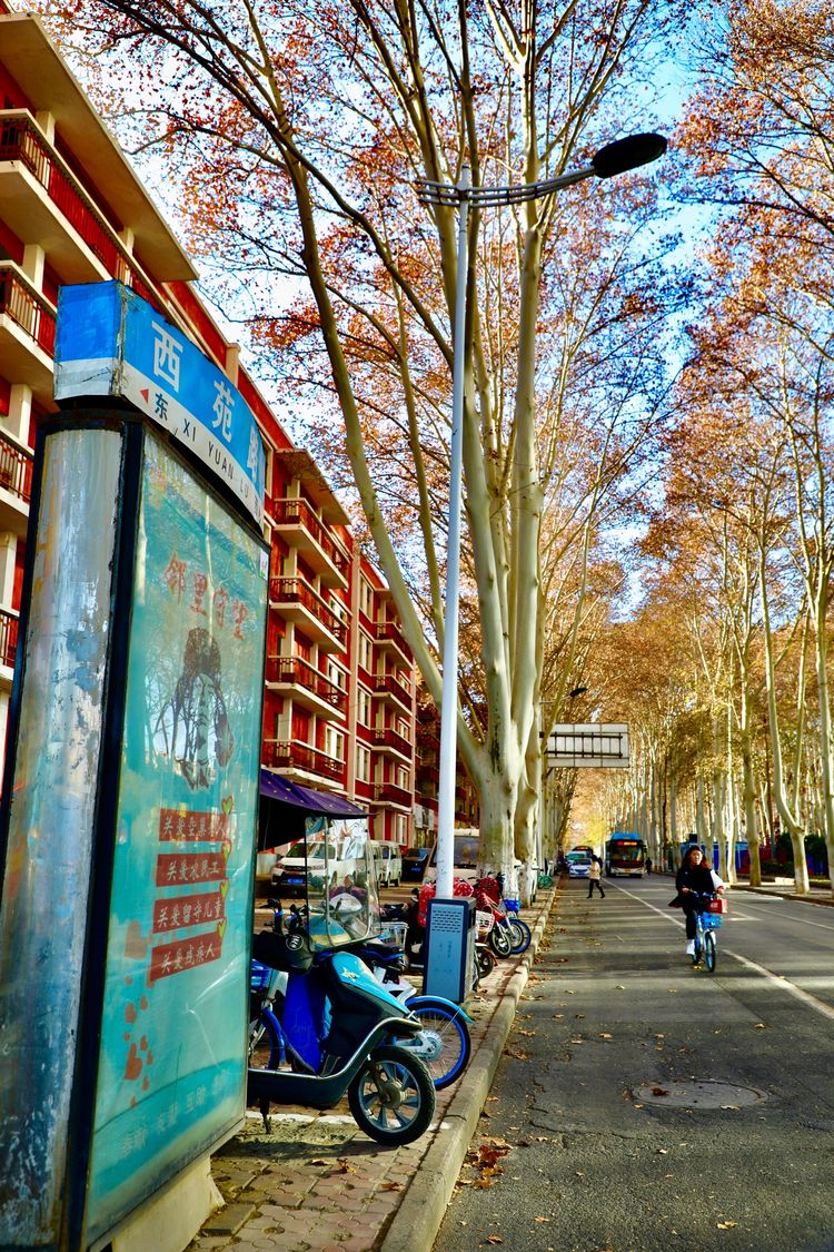 洛阳晚报作品,洛阳晚报2020年