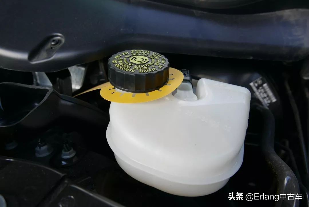 消失的陆地中文版,消失了的陆地