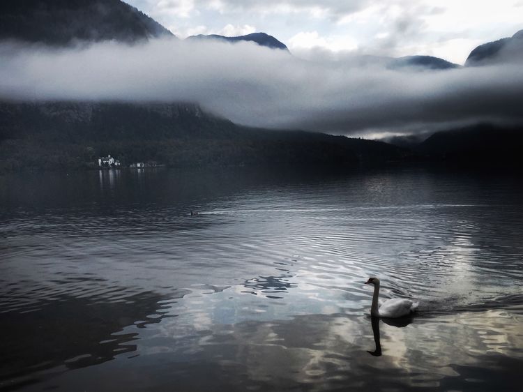 瑞士最美湖畔小镇,奥地利里最美的小镇