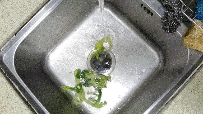 厨余垃圾处理器助你解决厨房垃圾,垃圾处理器要定期清理吗