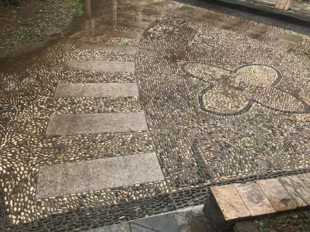 新划进光明中学的这个老小区，位置真好！还不贵