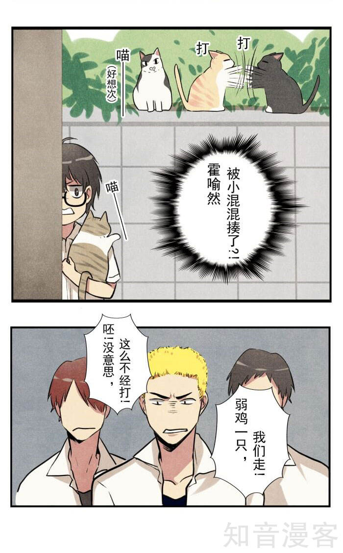 猫和铲屎官的日常生活漫画,猫和铲屎官的日常漫画