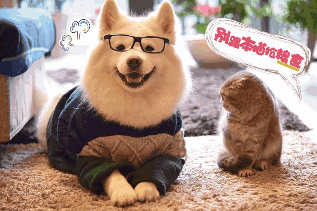 最快减肥方法一星期瘦10斤亲测,健康减肥30斤分享最有效减肥方法