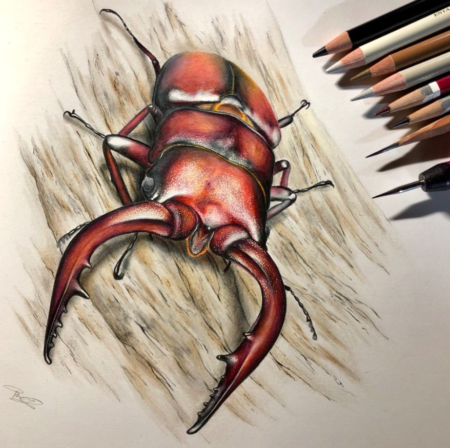 失明女孩铅笔画,保护视力守护心灵素描画