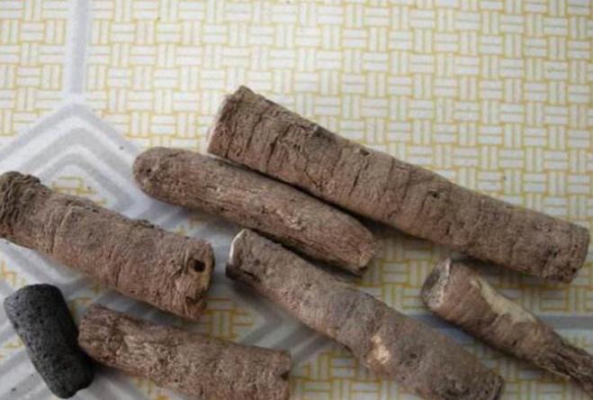 农村四季常青的野草,最值钱的野草排行榜