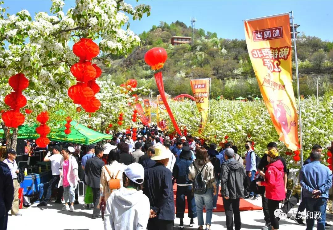绿色和政春深夏浅风光好山美花浓待君来