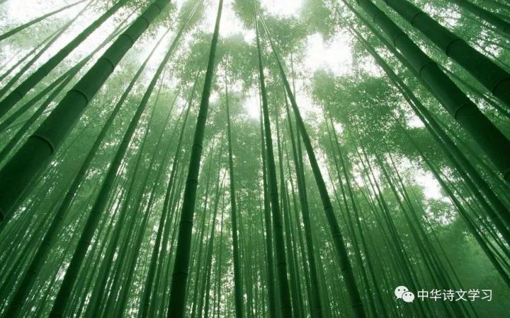 8个关于春天的唯美成语故事,有关春天的成语故事