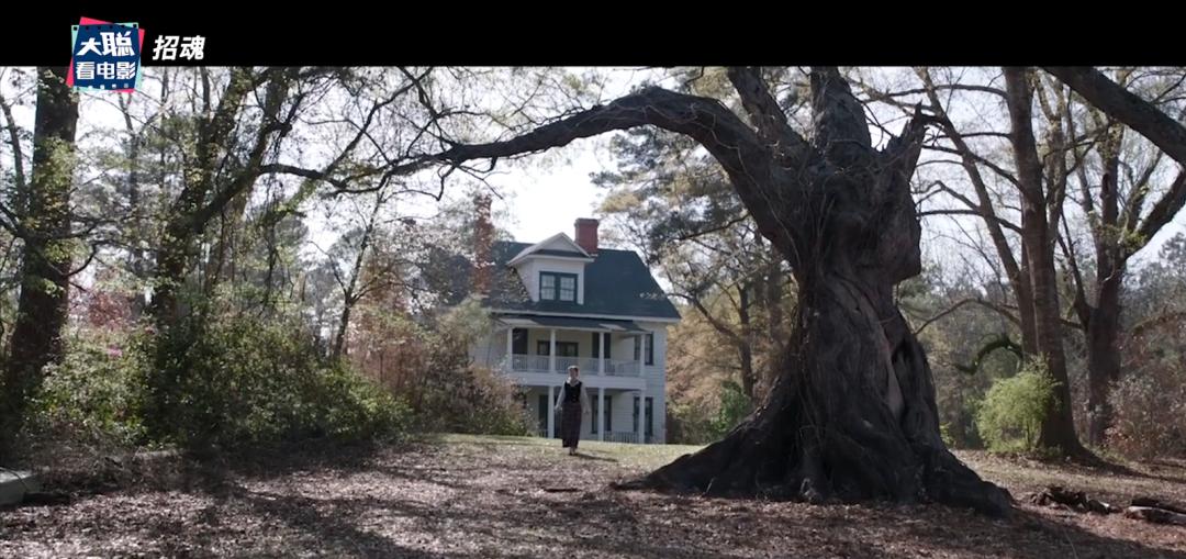 2020年恐怖片招魂3,招魂系列恐怖电影解说